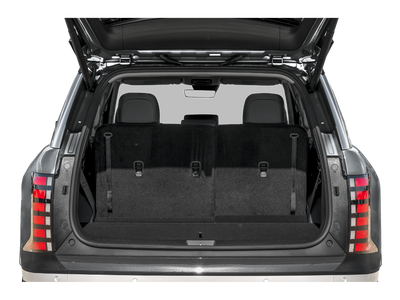 2026 Hyundai PALISADE SEL 8 Passenger