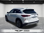 2024 INFINITI QX50 Sensory