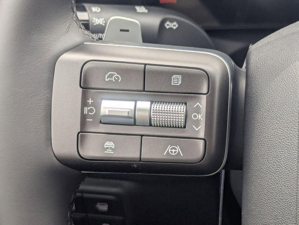 2026 Hyundai PALISADE SEL 8 Passenger