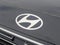 2026 Hyundai PALISADE SEL 8 Passenger
