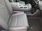 2026 Hyundai PALISADE HYBRID SEL 7 Passenger